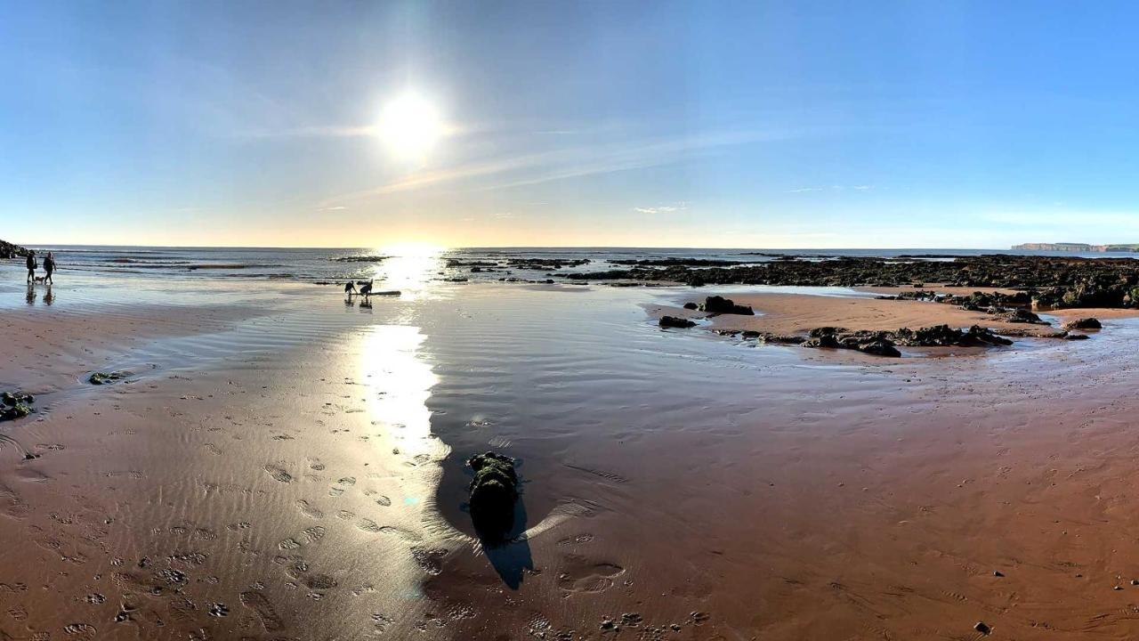 Shippen Cottage - Perfect For Couples Or Families Sidmouth Esterno foto